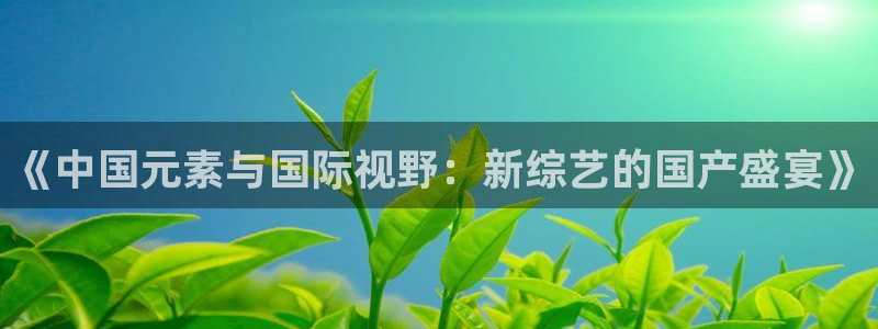 耀世娱乐app下载安装：《中国元素与国际视野：新综艺的国产盛宴》