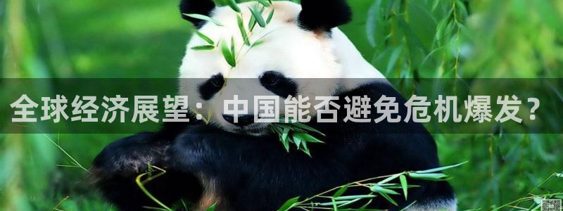 壹号电子娱乐app下载最新版：全球经济展望：中国能否避免危机爆发？