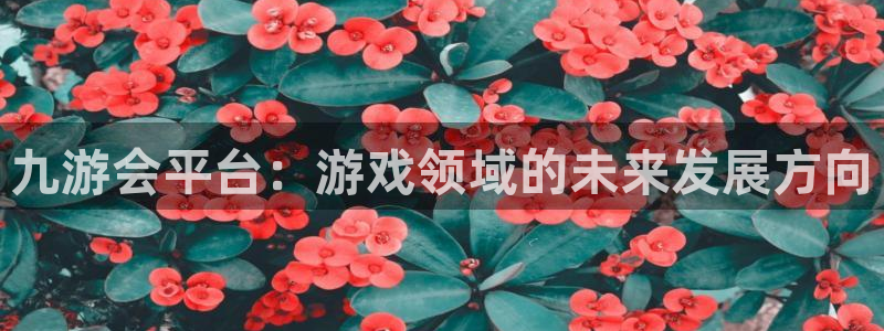 壹号大舞台怎么下载：九游会平台：游戏领域的未来发展方向