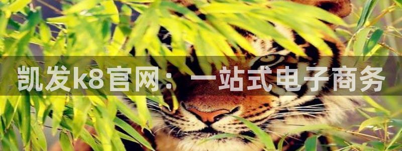 壹号app下载：凯发k8官网：一站式电子商务