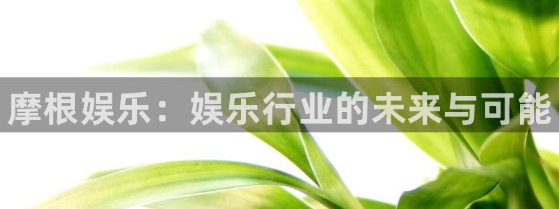 壹号电子娱乐app：摩根娱乐：娱乐行业的未来与可能