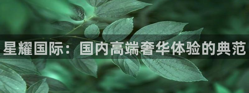 耀世娱乐-ng大舞台,有梦你就来：星耀国际：国内高端奢华体验的典范