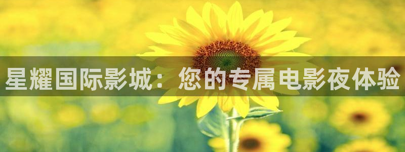 耀世娱乐app：星耀国际影城：您的专属电影夜体验
