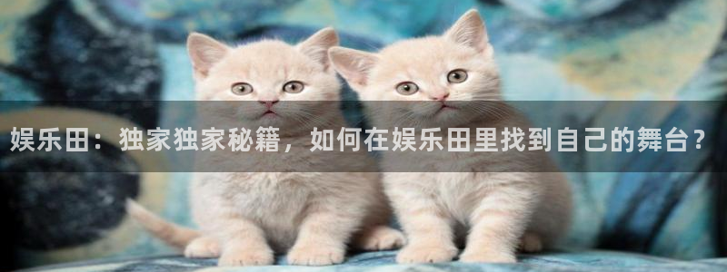 壹号平台娱乐：娱乐田：独家独家秘籍，如何在娱乐田里找到自己的舞台？