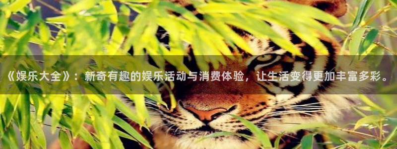 耀世娱乐充值怎么退款：《娱乐大全》：新奇有趣的娱乐活动与消费体验，让生活变得更加丰富多彩。