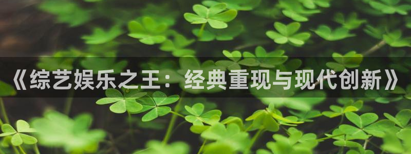 耀世娱乐退款怎么退：《综艺娱乐之王：经典重现与现代创新》