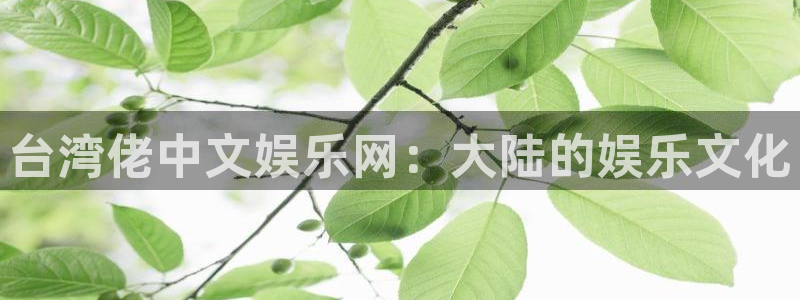 耀世娱乐 - ng大舞台,有梦你就来：台湾佬中文娱乐网：大陆的娱乐文化