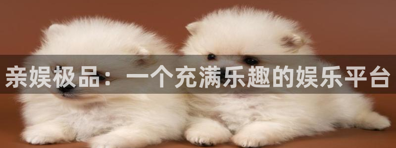 壹号app下载：亲娱极品：一个充满乐趣的娱乐平台