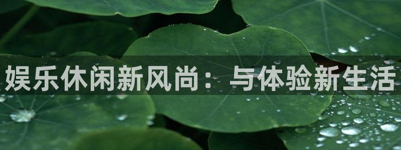 耀世娱乐能退款吗：娱乐休闲新风尚：与体验新生活