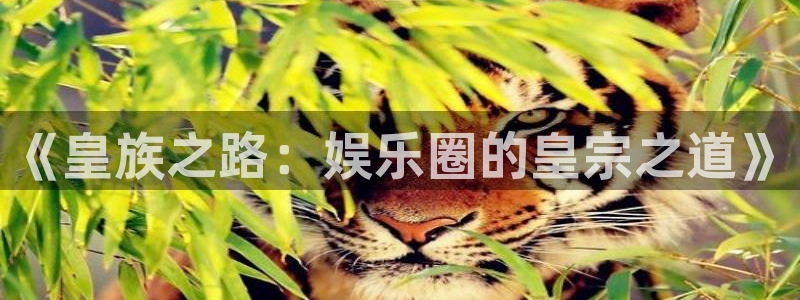 壹号下载官网入口：《皇族之路：娱乐圈的皇宗之道》