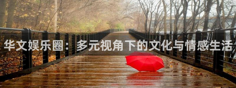 壹号电子娱乐app下载最新版本：华文娱乐圈：多元视角下的文化与情感生活