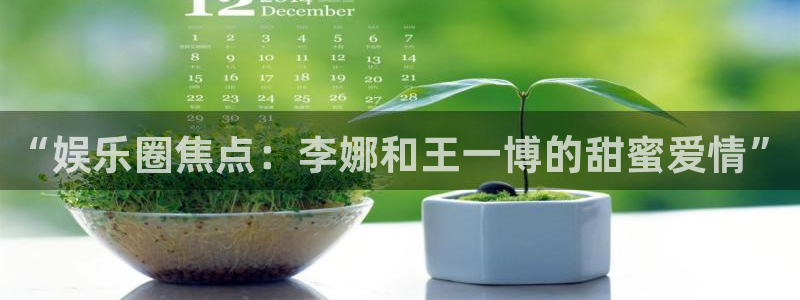 壹号平台下载安装：“娱乐圈焦点：李娜和王一博的甜蜜爱情”