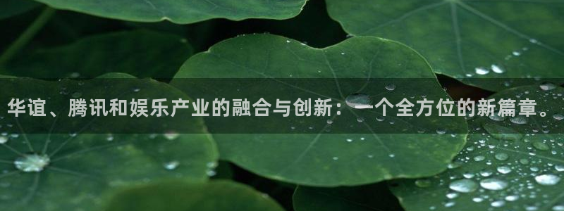 壹号app官网