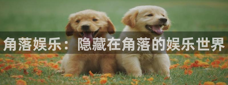 壹号电子娱乐app下载安装：角落娱乐：隐藏在角落的娱乐世界