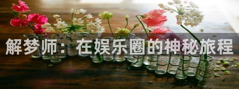 壹号电子娱乐app下载最新版：解梦师：在娱乐圈的神秘旅程