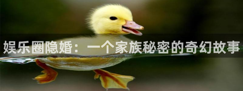 耀世娱乐com：娱乐圈隐婚：一个家族秘密的奇幻故事