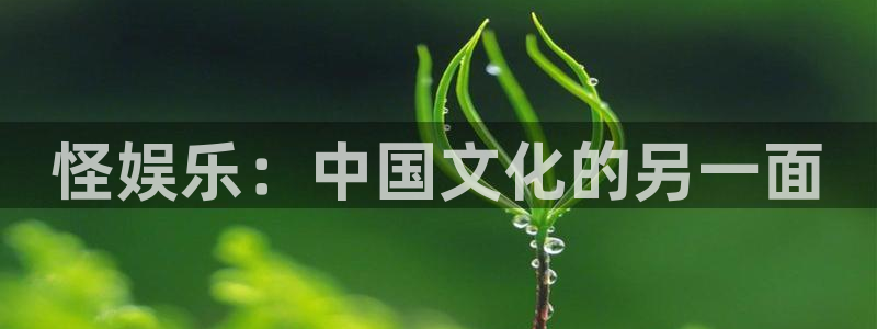 壹号平台娱乐：怪娱乐：中国文化的另一面
