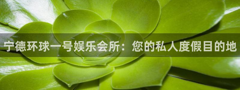 壹号大舞台官网入口：宁德环球一号娱乐会所：您的私人度假目的地
