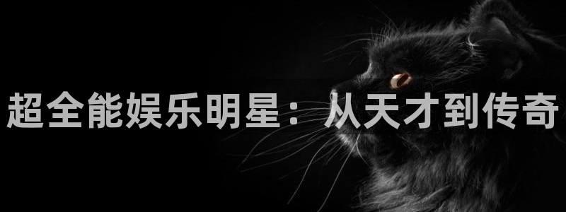 壹号下载官网入口