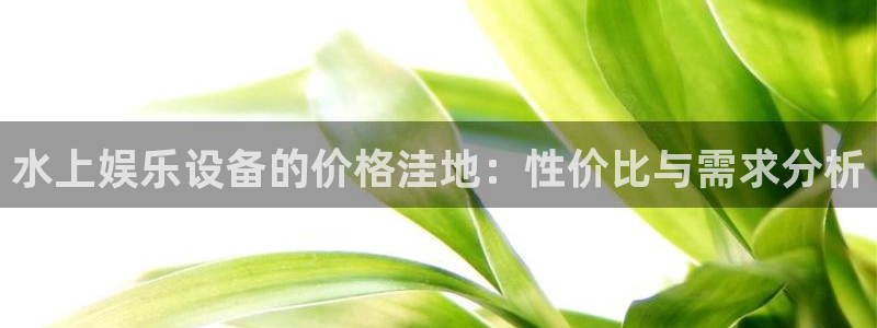 耀世娱乐com：水上娱乐设备的价格洼地：性价比与需求分析