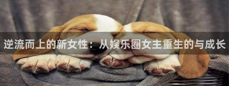 伟德国际集团 壹号(one game)：逆流而上的新女性：从娱乐圈女主重生的与成长