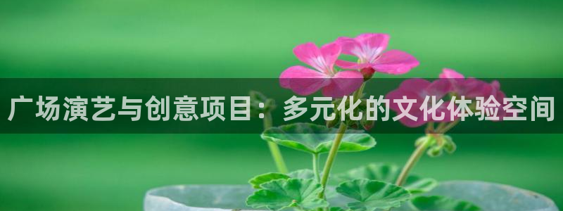 耀世娱乐app网页入口：广场演艺与创意项目：多元化的文化体验空间