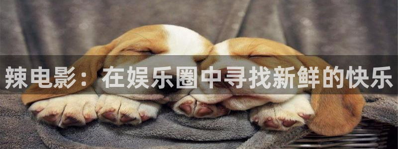 耀世娱乐app下载官网：辣电影：在娱乐圈中寻找新鲜的快乐