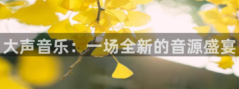 耀世娱乐下载入口：大声音乐：一场全新的音源盛宴